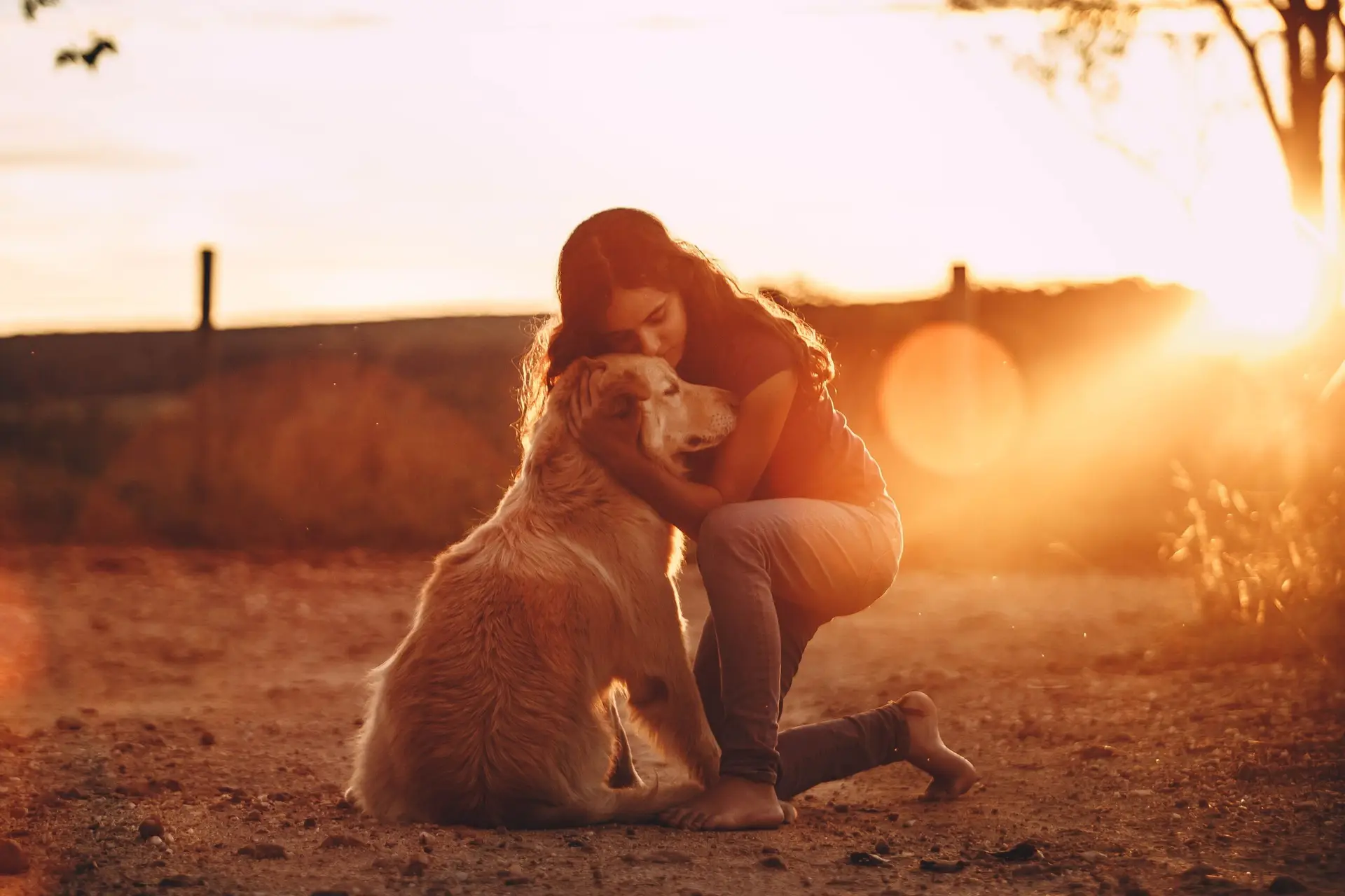 petloss